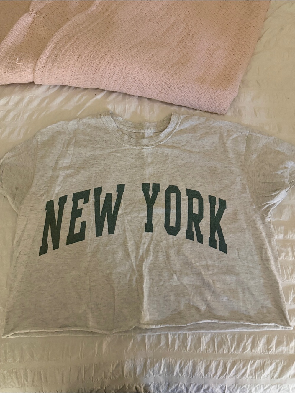 Brandy Melville Gray 'NEW YORK' Cropped Tee with Green Lettering